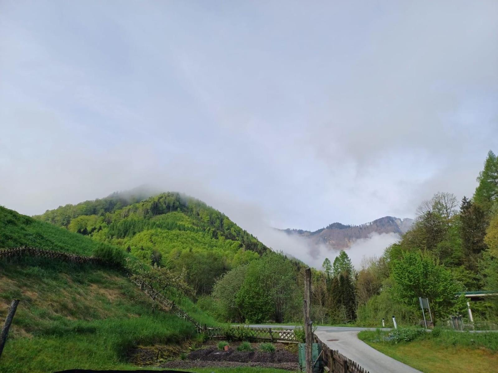 Wohnung Im Nationalpark Kalkalpen 3 Reichraming Bagian luar foto