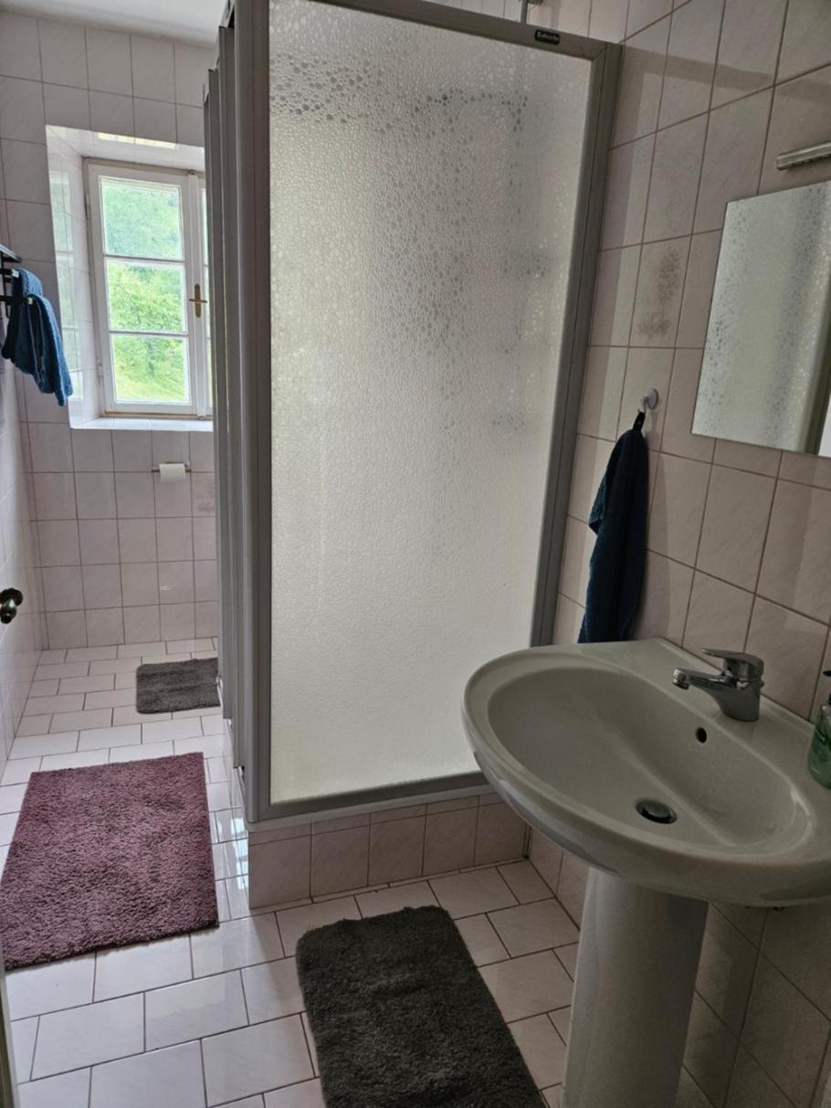 Wohnung Im Nationalpark Kalkalpen 3 Reichraming Bagian luar foto
